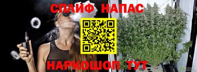 скорость Будённовск