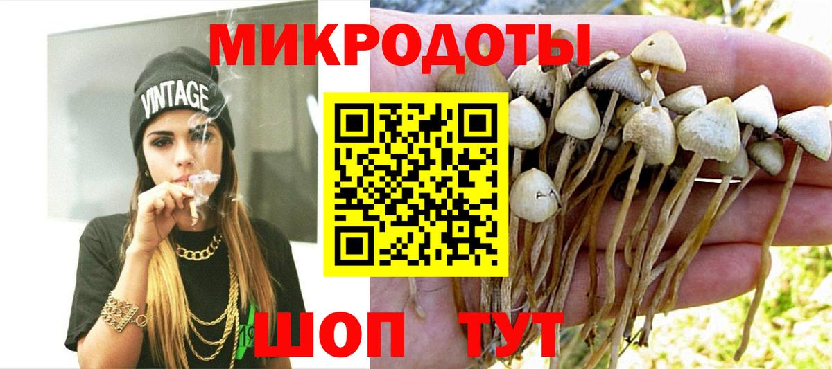 Урус-Мартан  Галлюциногенные грибы прущие грибы  Вход с VPN  Псилоцибиновые грибы мицелий 