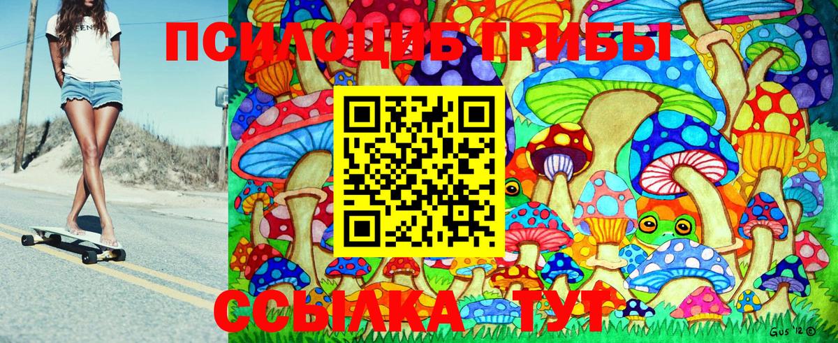 Псилоцибиновые грибы Cubensis Урус-Мартан